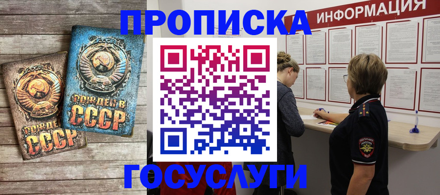 временная регистрация поиск в Раменском